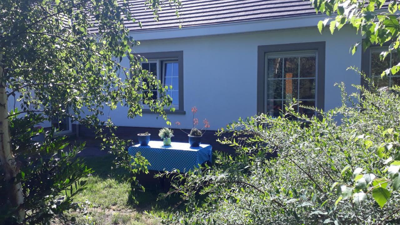 B&B De Tulp Retie Exterior photo