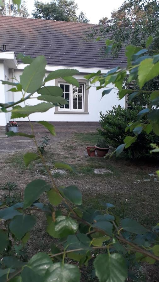 B&B De Tulp Retie Exterior photo